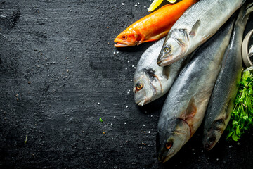 Canvas Print - Freshly caught fish.