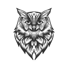 Owl Head Line Art Illustration