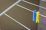 Fototapeta  - Clothing peg on washing line. Clothing pins on clothesline. Clothes pin in ukrainian colors. Blue and yellow pegs. Laundry concept. Household equipment. Ukrainian national colors. 