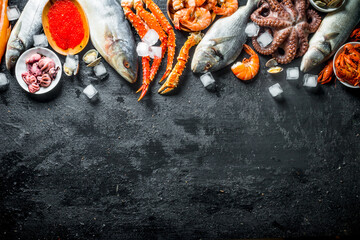 Wall Mural - Various seafood with ice cubes.