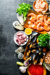 Wall Mural - Assortment of different seafood with garlic, herbs and spices.