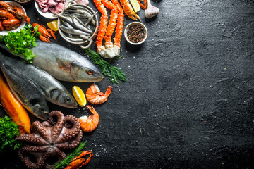 Wall Mural - Variety of fresh seafood.