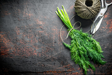 Poster - Dill cut in the home garden with twine.