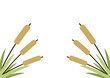 Reed, Cattail, Cane. Flat Vector Icon illustration. Cartoon grass, reeds and canes isolated on white background.
