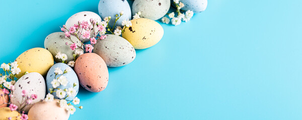 Wall Mural - Banner of Easter quail eggs and flowers over blue background. Spring holidays concept with copy space