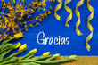 © Nelos - Spring Flowers Decoration, Branch, Ribbon, Gracias Means Thank You