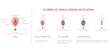 Infographics of the 4 types of female genital mutilation on a white background