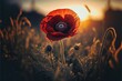 Beautiful nature background with red poppy flower, ai generated