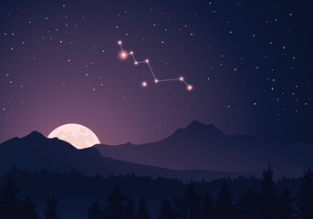 Wall Mural - constellation scheme collection. stars in the night sky. dark starry sky, hills, forest, bright moon