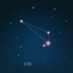 Wall Mural - constellation scheme in starry sky. open space. vector illustration octans constellation through a t