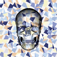 Skull With Texture Of Geometric Shapes. For Designers.