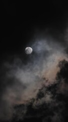 Wall Mural - full moon moving between clouds. vertical video