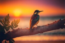  A Bird Sitting On A Branch In Front Of A Sunset Over The Ocean With A Body Of Water In The Background And A Few Leaves In The Foreground, With A Few, A Few.