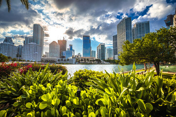 Wall Mural - Miami waterfront sunset view from Brickell Key