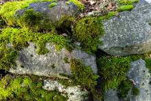 Stone Wall With Moss 05