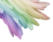 Bunch Of Long Rainbow Tinted Bird Feather Transparent Png File