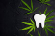 White tooth with a marijuana leaves on black background. Marijuana dental concept.