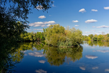 Canvas Print - Kleine Seen am Main bei Sulzfeld am Main, Landkreis Kitzingen, Unterfranken, Franken, Bayern, Deutschland.