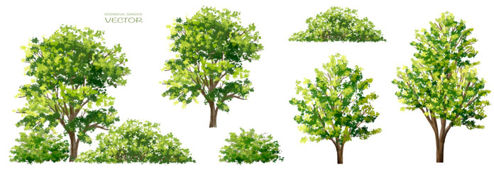 vector watercolor of grass or tree side view isolated on white background for landscape and architec