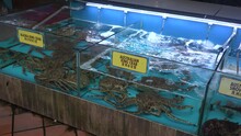 Ocean Crab In The Aquarium. Sea Crabs In Aquarium At Seafood Market, Close-up. Small Cancer For Sale In Tank With Water In Seafood Supermarket.