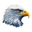 bald eagle head digital drawing with watercolor style illustration
