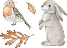 Watercolor Woodland Design Element. Hand-drawing Animals, Leaves. Bird, Rabbit For Wall Stickers, Posters, Invitation And Greeting Cards. 