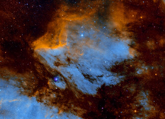 Wall Mural - ic 5070, also known as pelican nebula in the cygnus constellation. taken with my telescope.
