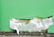 Broken green painted plaster wall showing large area of white plaster. Background texture