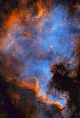 Wall Mural - north america nebula also known as ngc 7000 in the cygnus constellation. taken with my telescope.