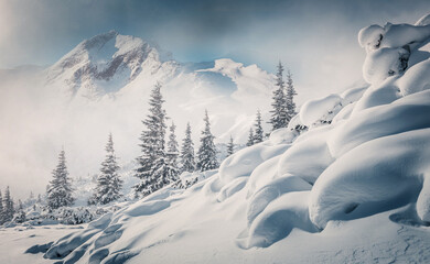 Fototapete - Majestic winter landscape. frosty pine tree under sunlight at sunset. christmas holiday concept, unusual wonderful landscape. fantastic wintry background. instagram effect. retro style