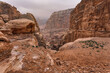 Typical overcast day landscape at Petra, Jordan, rocky walls around narrow canyon, few small bushes growing in red dusty ground
