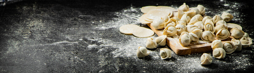 Canvas Print - Raw dumplings and round pieces of dough on a cutting board. 