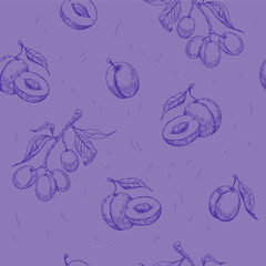 Canvas Print - Plum seamless pattern design. Vintage sketch vector. Easy color change. Transparent background