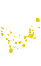 Yellow Flower Fall Vector White Background. Fly
