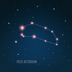Wall Mural - constellation scheme in starry sky. open space. vector illustration piscis austrinus constellation t