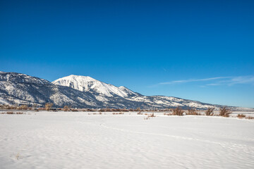 Wall Mural - Snow covered frozen landscape with Mt Rose and Slide Mountain, in Washoe Valley between Reno and Carson City Nevada.