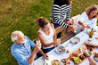 © Flamingo Images - Friends toasting around a table outside