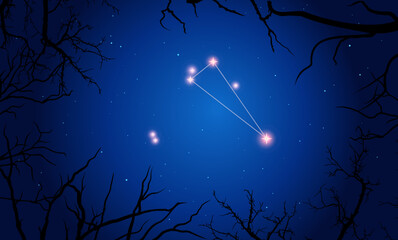 Wall Mural - vector illustration triangulum constellation. tree branches, dark blue starry sky
