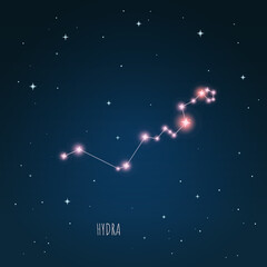 Wall Mural - constellation scheme in starry sky. open space. vector illustration hydra constellation through a te