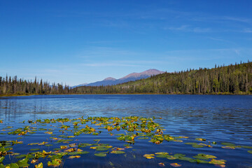 Canvas Print - Summer lake