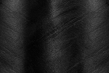 Wall Mural - Black leather texture. Abstract background of dark leather with small roughness and scuffs