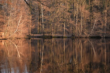 Wall Mural - Maunzenweiher bei Frankfurt