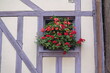 canvas print picture - Blumenfenster in Troyes