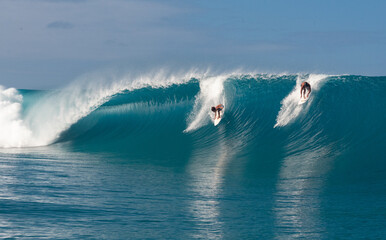 Wall Mural - Teahupoo, end of the road, Tahiti, French Polynesia