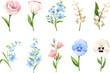 Set of pink, blue, and white flowers (pansy, forget-me-not, lisianthus, lily-of-the-valley, and harebells) isolated on a white background. Vector illustration