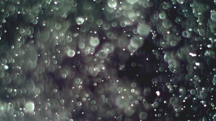 Wall Mural - Abstract background with animation of flying and flickering particles as bokeh of light. Animation of seamless loop.Dust bubbles snow animation.Bokeh Shiny Particles Loop Animation.