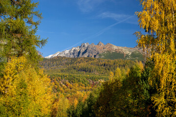 Canvas Print - Autumn landscape in the mountains