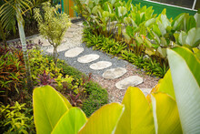 Colorful Garden With Path Way