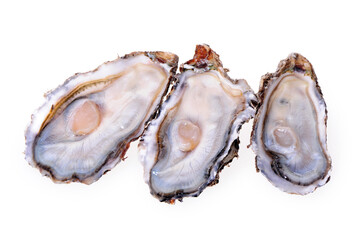  Fresh opened oyster on white background