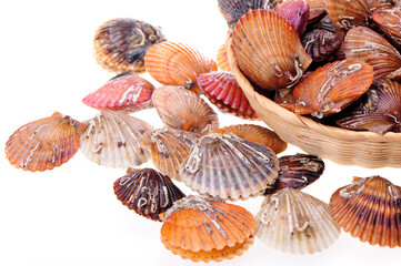 Poster - Raw scallop on white background 